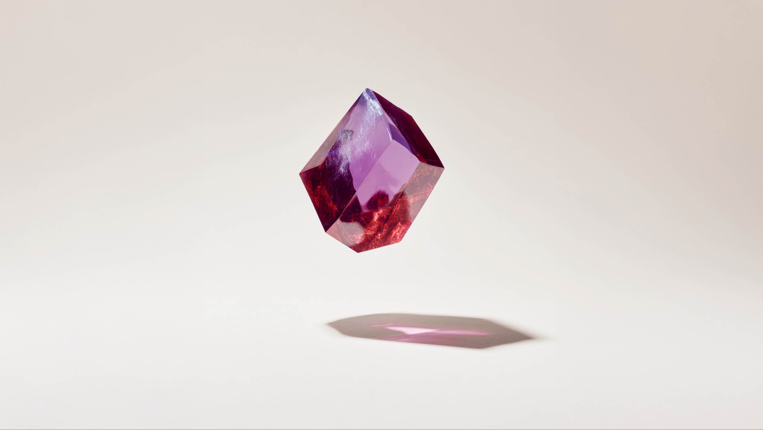 Create, das Programm um Marken zu kreieren und aufzubauen, Markenentwicklung von Anfang an