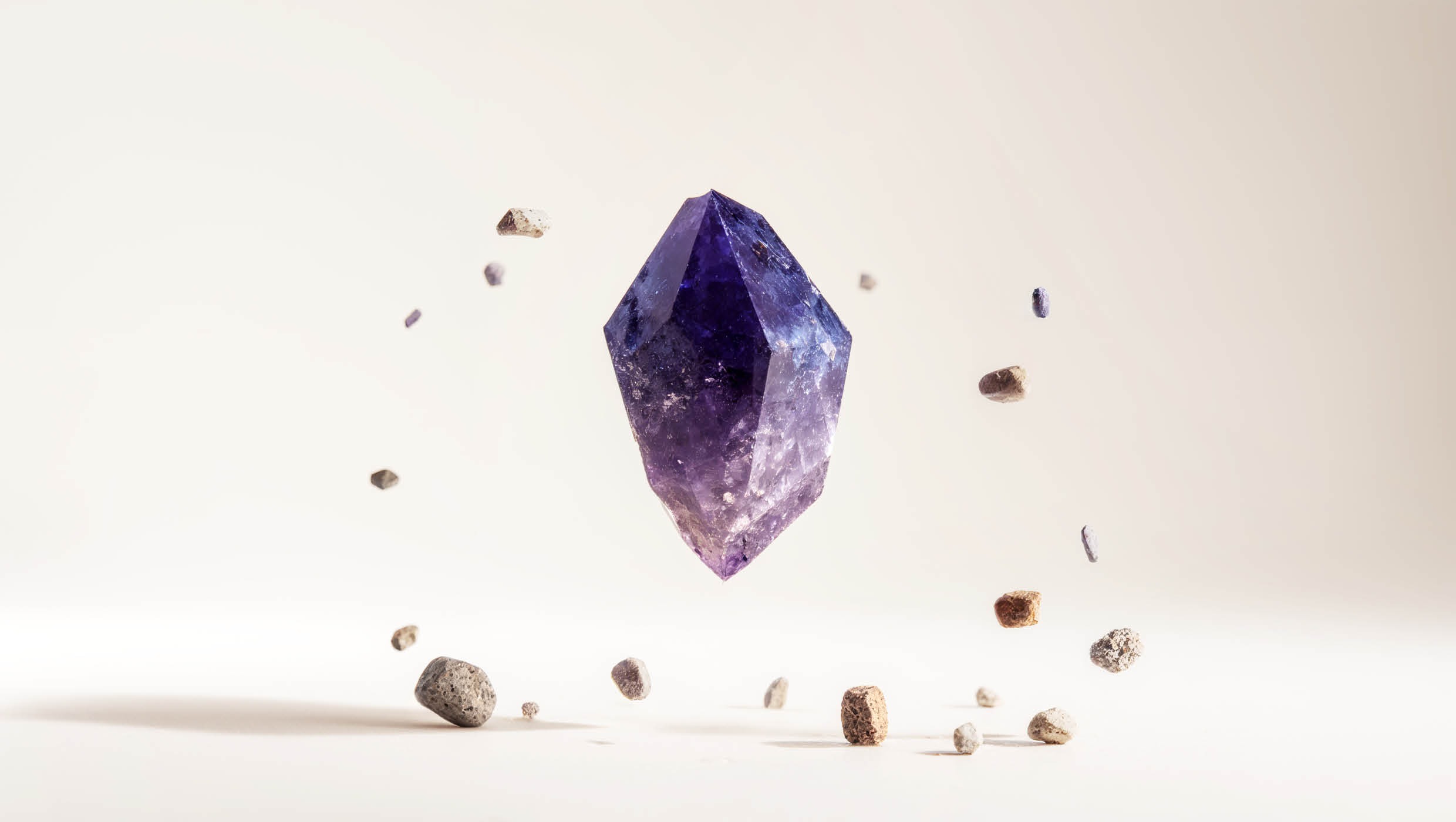 People Magnet, das Employer Branding Programm